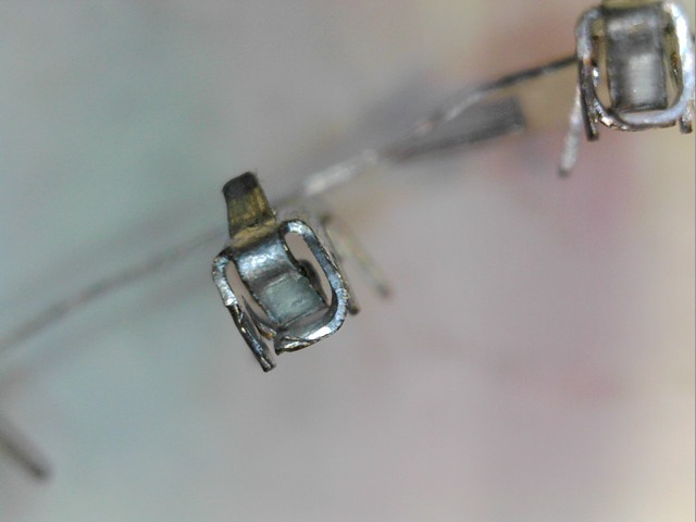 S20170303_002 S20170303_002