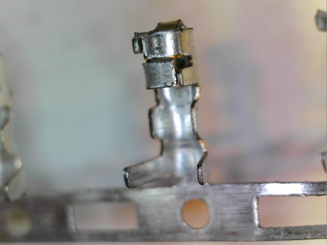 S20170303_003 S20170303_003