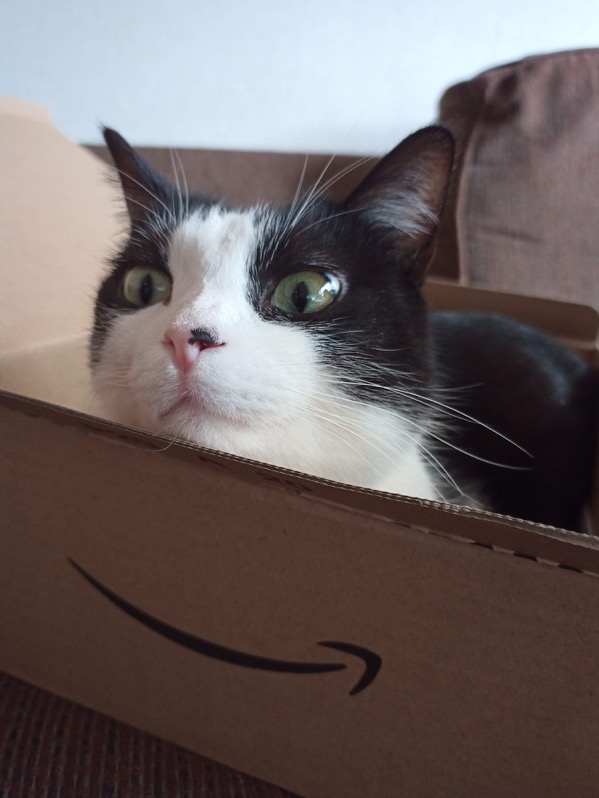 IMG_20200126_145705_2.jpg IMG 20200126 145705 2