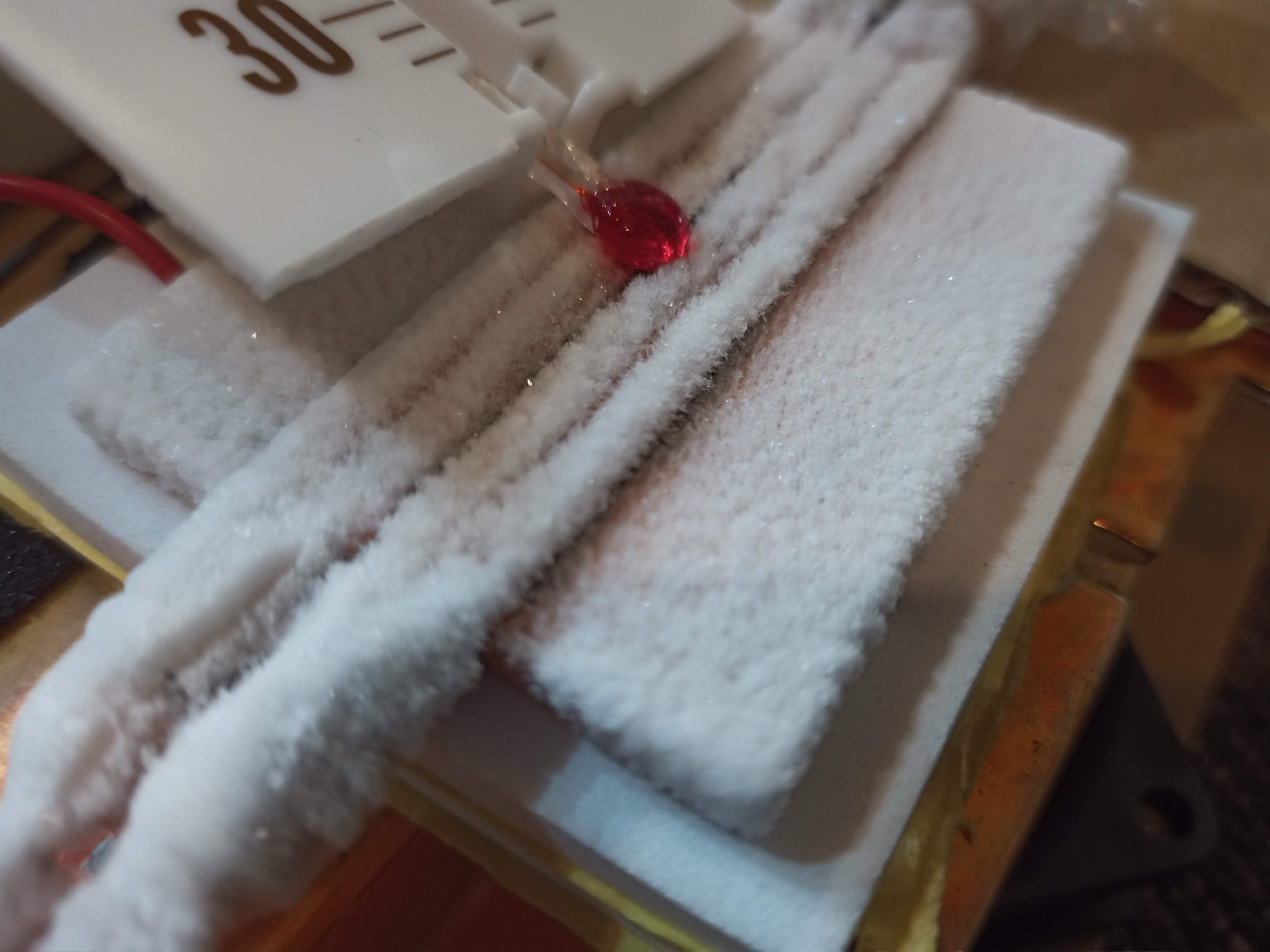 IMG_20200808_015644_3